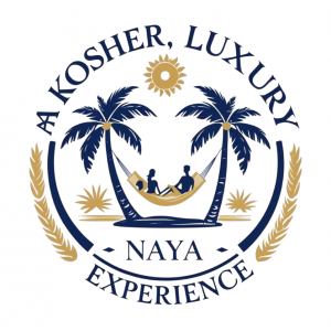 logo draft 1 no background